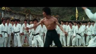 Bruce Lee the warrior tribute 1080 HD