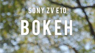 Sony ZV E10 Bokeh ft. Sony 18105 + Sigma 16 1.4  How to Create Bokeh Lights