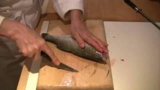 How to scale gut and fillet a fish