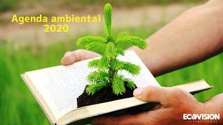 Agenda ambiental 2020