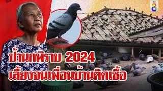 ป้านกพิราบ 2024 เลี้ยงจนเพื่อนบ้านป่วยติดเชื้อ นอนกับขี้นกยันฉันเลี้ยงในบ้าน ลุยชนข่าว  11 ก.ย. 67