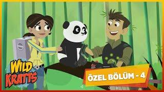 Kratt Kardeşler  2 Bölüm Bir Arada - 4  Çizgi Film  minikaGO