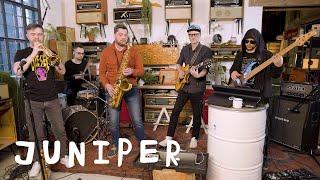 Juniper Цех live