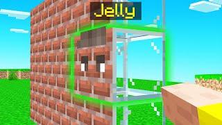 I Caught Jelly Using A CAMO BLOCK In Minecraft Hide & Seek