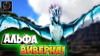 Выращиваем Альфа-Виверну - Ark Survival Evolved AG Reborn #3