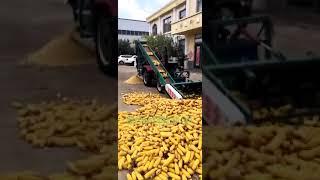 Automatic Maize Threshing Machine