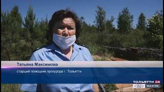 Нарекания в адрес лесничества «Новости Тольятти» 15.06.2020