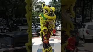 atraksi barongsai #barongsai #imlek