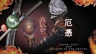 Sekiro Lore Building and Shadow of The Erdtree   Elden Ring PvP