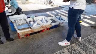 A visit to the fish market at Bari harbour
