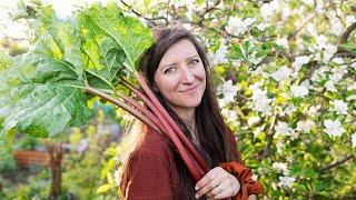 April tour of the allotment garden