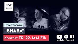 Shaba - Andrey Shabashev livestream concert