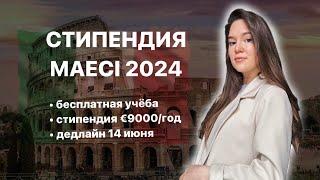 Стипендия MAECI МАЕЧИ 2024  Учись в Италии бесплатно