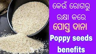 ପୋସ୍ତ ଦାନା ର ଔଷଧୀୟ ଗୁଣ  Benefits of Poppy seeds in Odia 