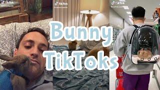 Bunny TikToks  Mr. Demon