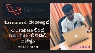 Laravel Sinhalen Tutorial 13-Database එකේ Data Table එකකට ගනිමු.