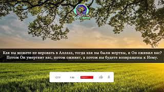 Аль Бакара сура - слушайте каждый день. #слушайкоран #коран #кораннавсюночь