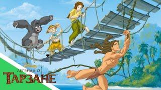 Легенда о Тарзане - Большое Испытание - 1 Серия  Мультсериал про животных