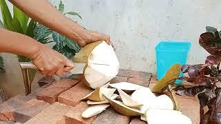 Coconut cutting knife and slice Sliced Coconut Peeling Styles