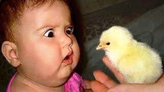 Try Not To Laugh Funniest Moment Of Baby And Animals Best Friend Is Sharing...
