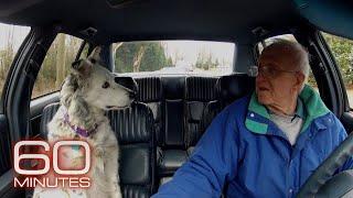 The smartest dog in the world  60 Minutes Archive