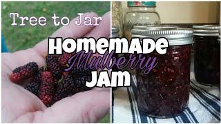 MULBERRY JAM  Simple recipe  Canning jam