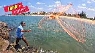 AMAZING CAST NET FISHING IN SEA  MOST SATISFYING CAST NET FISHING