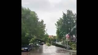 Poly Storm Holland  20230705  Haarlem