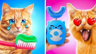 RICH vs. BROKE PET GADGETS  Save the Tiny Cat Creative Hacks vs. Viral Tools by 123 GO