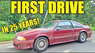 First Drive Of The Abandoned Mustang GT Didnt End Well But We Discovered Its Crazy History