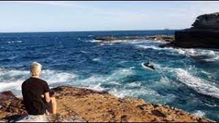 Shark attack VIDEO at Little Bay in Sydney - Detailed