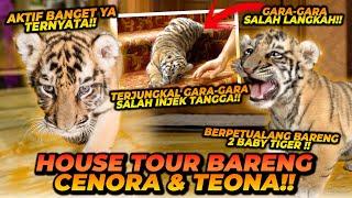 HOUSE TOUR BARENG CENORA DAN TEONA  UDAH BISA NAIK TANGGA ? SAMPE ADA YANG TERGULING 