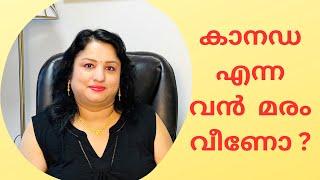 കാനഡ എന്ന വൻ മരം വീണോ Malayalam Vlog Canada ImmigrationMotivationStudent visa