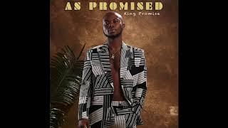 King Promise - I Tried Audio Slide