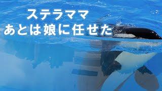 今日は演技や〜めた！ママシャチ突然のボイコット