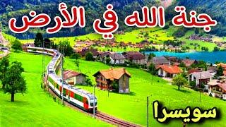 رحلة بالقطار استمتع بجمال سويسرا مع موسيقى هادئة Train travel  in Switzerland with relax music