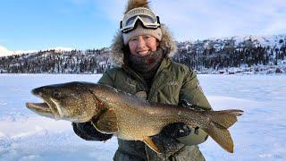 Lake Trout for Dinner  Alaskas Public Use Cabins