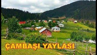 ÇAMBAŞI YAYLASI Dron Görüntüleri ile