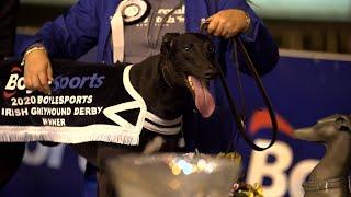 2020 Boylesports Irish Greyhound Derby Final