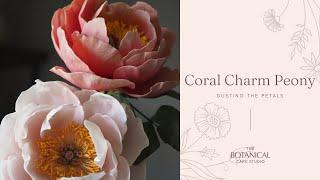 Coral Charm Peony Sugar Flower Tutorial Gumpaste  Flower Paste Dusting the Petals