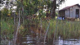 Kehidupan suku dayakdi kalimantan tengah