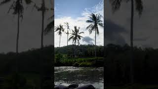 Free stock footage indonesia nature  Free nature footage download  Calm river atmosphere