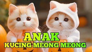 ANAK KUCING MEONG MEONG ANIMASI KUCING lagu Anak Indonesia Balita