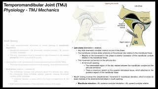 Temporomandibular Joint   Biomechanics Part 12