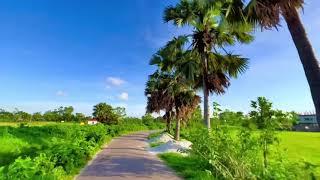 প্রকৃতির সৌন্দর্য  Natural video Nature @Sabiha180  Village Episode 04 Viral video