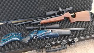 Daystate Redwolf vs Air Arms s200 - Which rifle is more accurate?