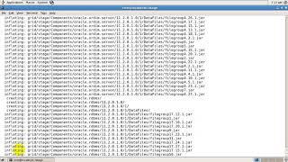 Oracle DBA Training19 ASM Configuration in 11g