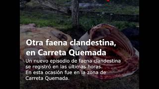 Noticias 11 de marzo de 2019  www.sanjoseahora.com.uy