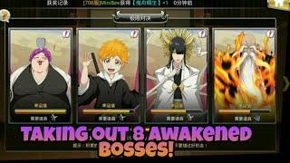 Taking out 8 Awakened Bosses - Bleach Death Awakening