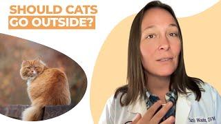 Should Cats Go Outside? Vet Explains